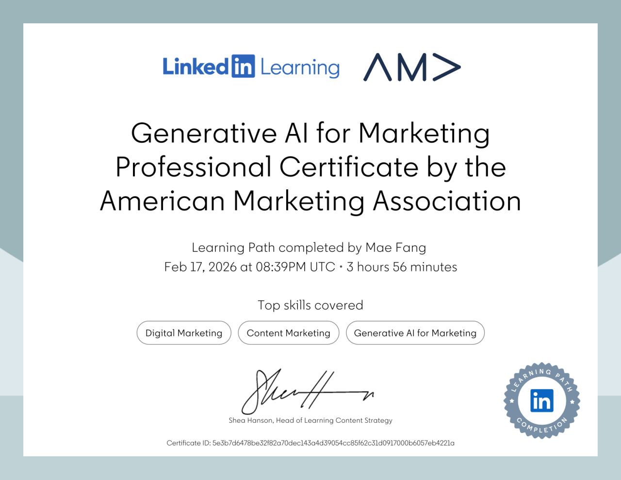 enerative AI for Marketing Professional Certificate (American Marketing
                            Association)